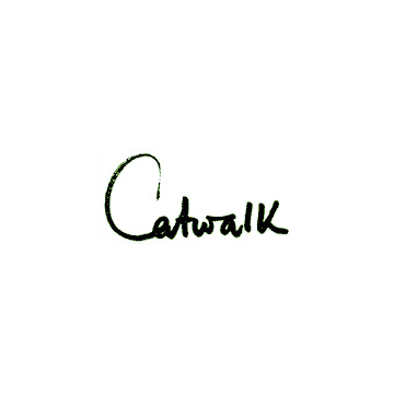 catwalk_middle.jpg